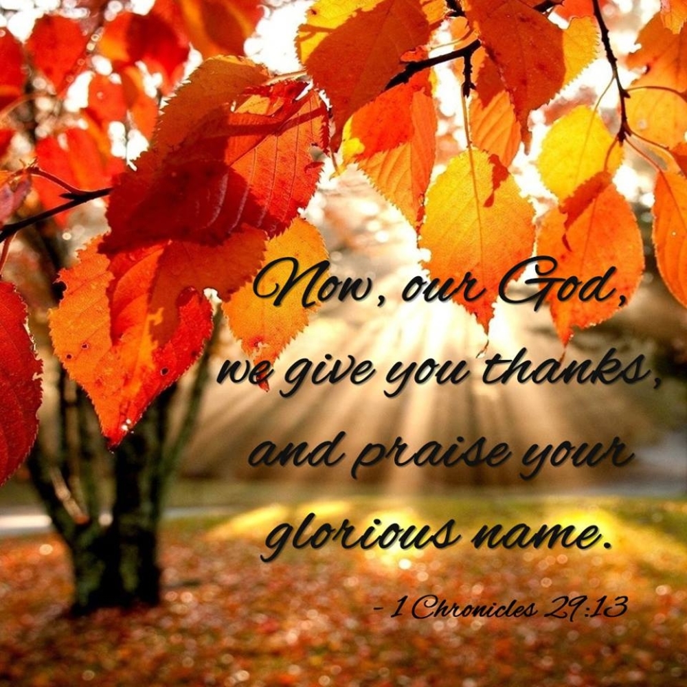 Meet your Posher, Dave